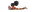49446-CSLP-Early-Literacy-Spot-Art_1.png