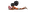 49446-CSLP-Early-Literacy-Spot-Art_1.png