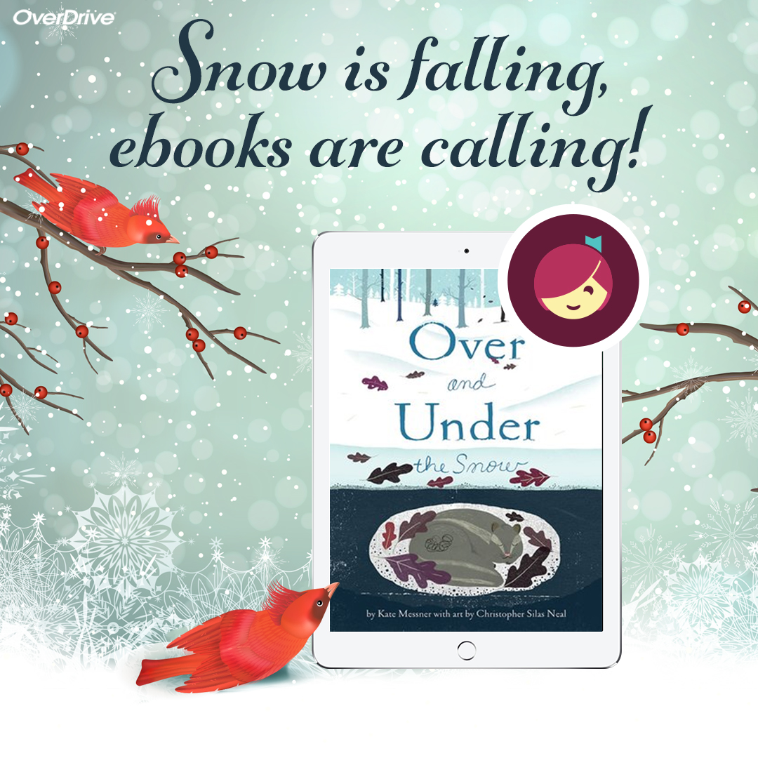 SnowFalling-Libby1122.jpg